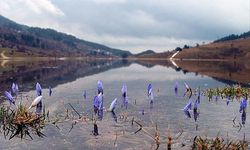 Bahar geliyor: İkinci cemre için geri sayım başladı!