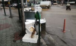 Eskişehir'de zamansız bırakılan çöpler çirkin görüntüler oluşturdu