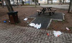 Eskişehir'de park ve bahçeler çöpten geçilmiyor: Uyarı var ama...