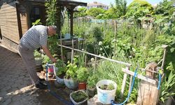 Belediye duyurdu: Eskişehir'de bir zam da hobi bahçelerine
