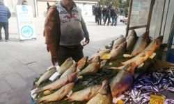 Eskişehir'de dev balıklar tezgahlara düştü: İşte fiyatı...