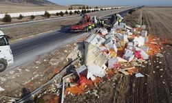 Afyon'da tır devrildi: 27 ton havuç ziyan oldu!