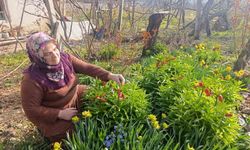 Kütahya'da 'Ağlayan Gelin' güzelliği