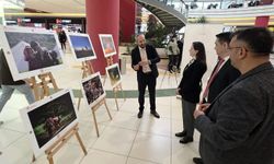 'Uluslararası Tarım, Orman ve İnsan Fotoğraf Sergisi' Kütahya'da açıldı