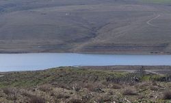 Eskişehir için tehlike çanları: Barajın 3'te 1'i yok oldu