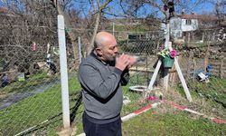 Eskişehir'de bu tutku dudak uçuklatıyor: Ev fiyatına...