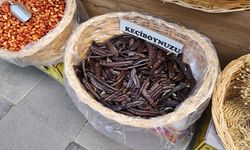 Eskişehir'de fazlaca tercih ediliyor: Faydaları saymakla bitmiyor