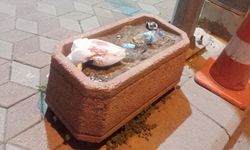 Eskişehir'de saksı çöplüğe döndü