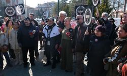 Eskişehir'de eş zamanlı köpekli eylem