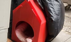 Eskişehir’de sokak hayvanları için anlamlı adım