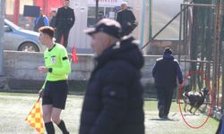 Eskişehir'de amatör küme maçında sahaya köpek girdi