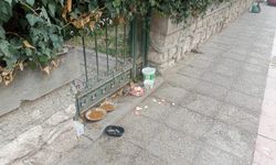 Eskişehir’de sokak hayvanlarına anlamlı destek