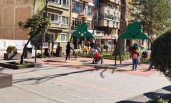 Eskişehir'de sıcak hava parkları doldurdu!