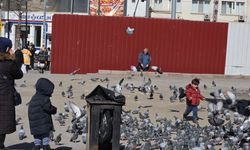 Güneşli havayı fırsat bilen aileler Köprübaşı'na akın etti