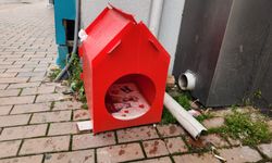 Eskişehir'de sokak hayvanlarına sıcak yuva