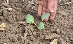 Eskişehir’de sezonu başladı: İlk tohum ve fideler toprakla buluştu