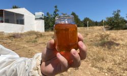 Eskişehir'de üretilip Avrupa'da rekor kırdı!