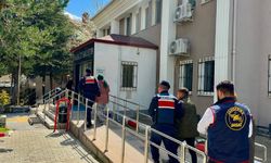 İntihar denilerek dosyası kapatılmıştı: Gerçek otopside ortaya çıktı!