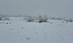 Eskişehir'in yüksek kesimi beyaza büründü