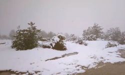 Eskişehir baharı beklerken kar geldi