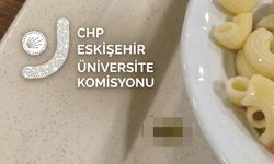 Eskişehir'de bir yemek skandalı daha: Mide bulandıran görüntü