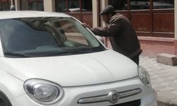 Eskişehir'de denetimler yetersiz kaldı: Sayıları her geçen gün artıyor