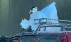 Eskişehir'de görenleri hayrete düşüren yolculuk