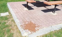 Eskişehir'de parkta duyarlı davranış