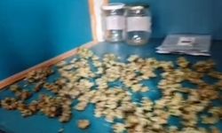 Eskişehir'de zehir tacirlerine büyük darbe: Kilolarca ele geçirildi