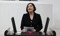 Eskişehirli vekil mecliste gündeme getirdi: Tarımsal üretim tehlikede