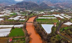 Sakarya nehrinin rengi değişti: İşte sebebi
