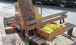 Eskişehir'de kaldırım tezgâha döndü