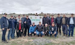 Mahmudiye'de deniz şehitleri için binlerce fidan toprakla buluştu