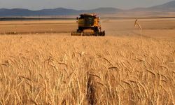 Eskişehirli çiftçiyi zamlar vurdu: Acil destek talebi