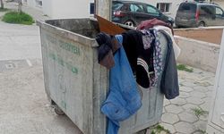 Eskişehir'de konteynerde dikkat çeken görüntü