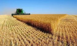 Eskişehir'de acil önlem çağrısı: Savaşın faturası çiftçiye kesildi