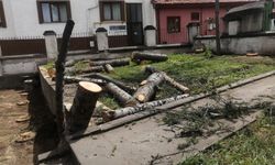 Eskişehir'de cami bahçesinde protesto