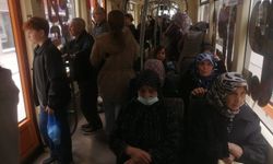 Eskişehir'de her geçen gün sayıları artıyor: Vatandaş isyan etti!