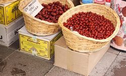 Şifa deposu hünnap: Doğal destek olarak öne çıkıyor