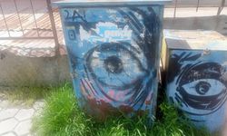 Pano yüzeyleri boyayla kaplandı