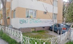 Eskişehir'de duvar yazıları çoğalıyor
