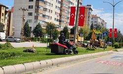 Eskişehir'e bahar tam gelmese de, hazırlıklar sürüyor!