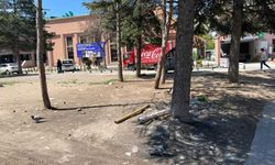 Eskişehir'in ortasındaki boş arazi çöplüğe döndü!