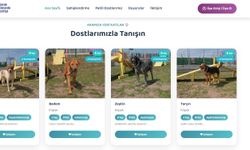 Eskişehir Büyükşehir’den can dostlar için yeni uygulama