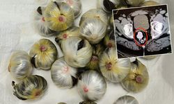 Uyuşturucuyu Türkiye’ye böyle sokmuş: Eskişehir’de yakalandı!