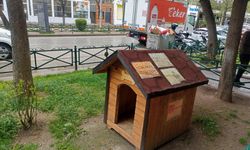 Eskişehir'de sokak hayvanları için kulübe