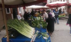 Eskişehir'de yağışlı hava fiyatları yükseltti