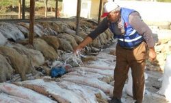 Kurban Bayramı öncesi THK’dan vatandaşlara önemli uyarı