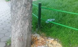 Eskişehir'deki parkta kötü görüntü