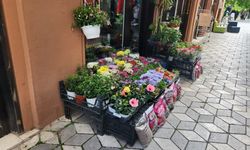 Balkonların vazgeçilmezi çiçekler Eskişehir’de renk katıyor